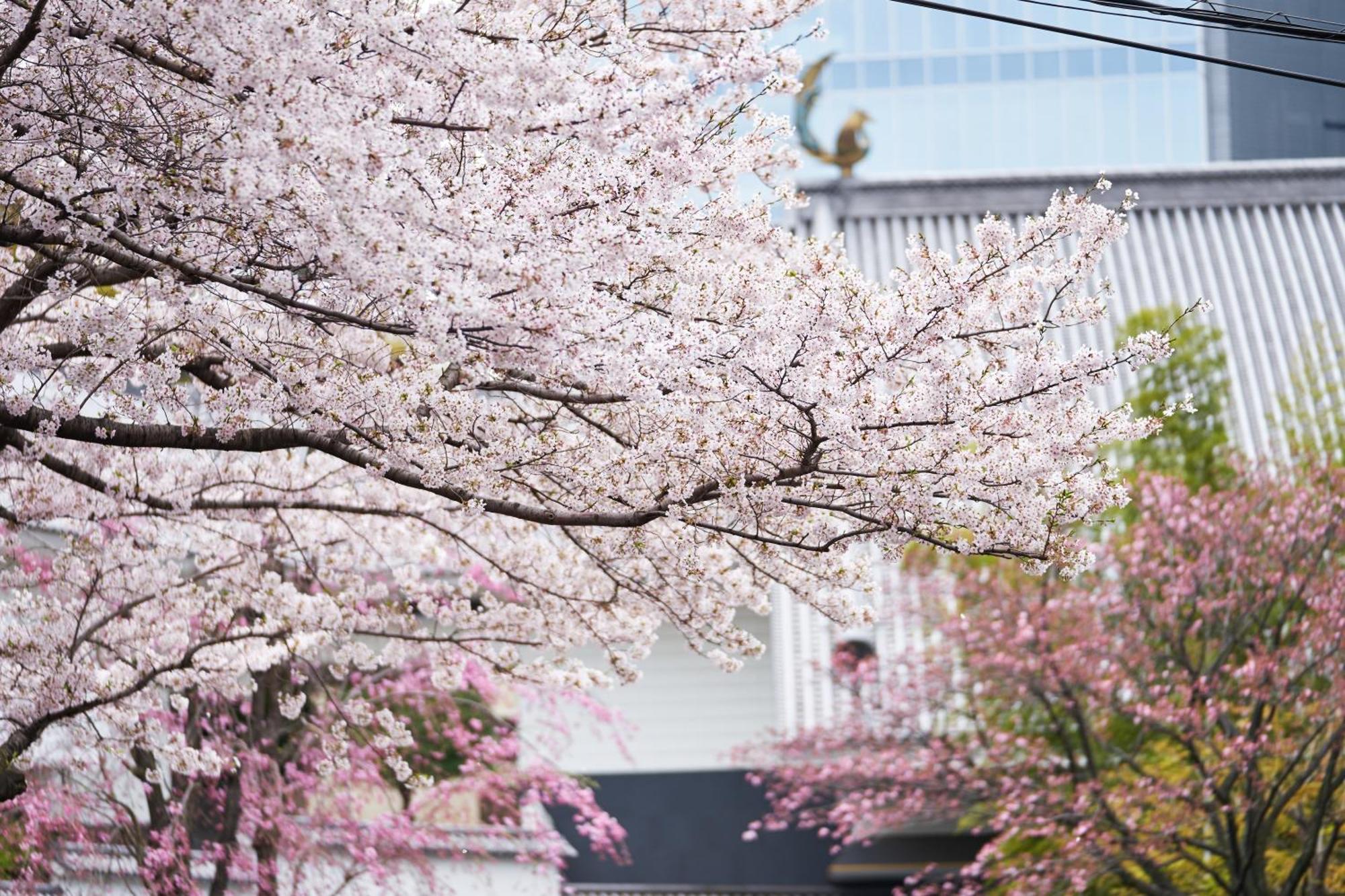 Hotel Gajoen Tōkyō Extérieur photo